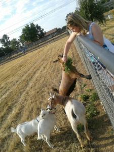 5601_597866250246122_933451577_n