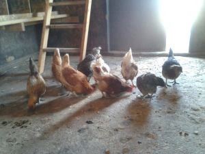 964967_597866300246117_1382640733_o