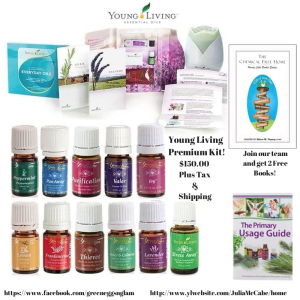 10173659_301834863324290_8005381483610202036_n