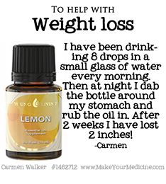 10330408_10203967211164759_5958884247519357741_n