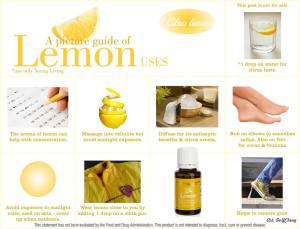 1511854_10152249739764246_1787276070_o