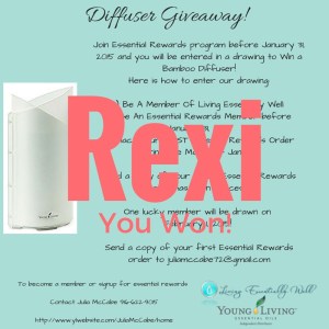 Diffuser Winner